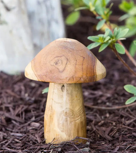 Teak Root Mushroom Garden Decor - 8
